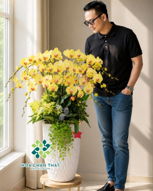 Chậu Lan Hồ Điệp Vàng Lưỡi Đỏ 15 cành