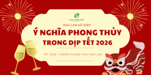 Hoa Lan Hồ Điệp - Ý Nghĩa Phong Thủy Trong Dịp Tết 2026 Do Vang Truyen thong Tet nguyen dan Banner 1