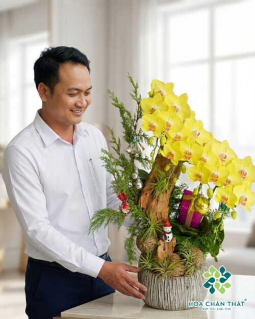 Lan Hồ Điệp 4 Cành Vàng Ghép Lũa – Tài Lộc Tự Nhiên