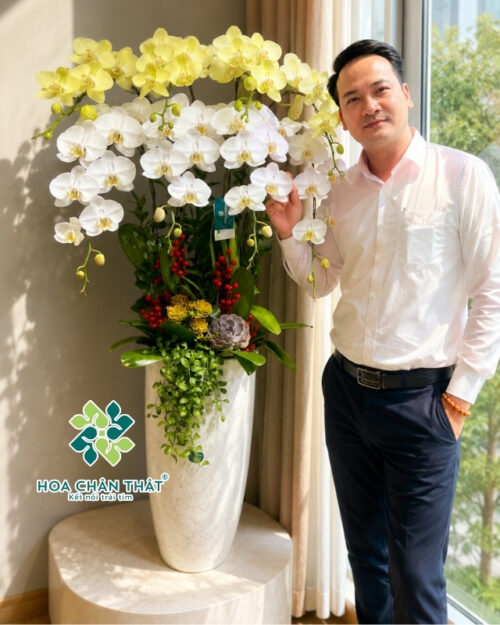 Lan Hồ Điệp 8 Cành Mix Trắng Xanh Táo – Chậu Cao Sang Trọng