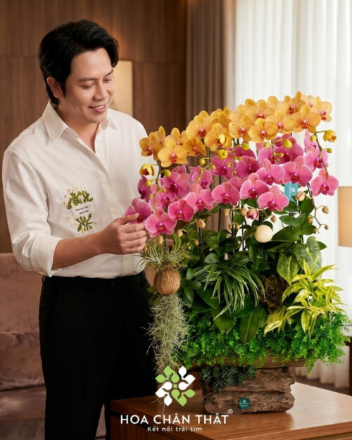 Máng Lan Hồ Điệp 10 Cành – Màu Cam Đỏ Dâu Phú Sắc