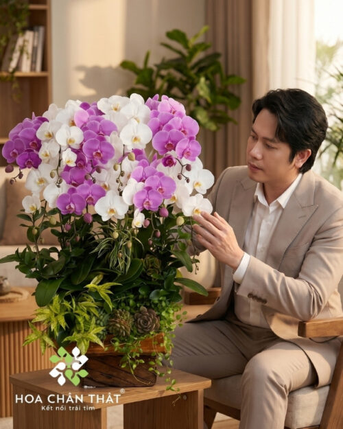 Máng Lan Hồ Điệp 10 Cành – Màu Trắng Mix Tím Hồng Dịu Dàng