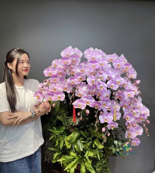 Mang Lan Ho Diep Ghep Lua 12 Canh – Tim Soc Trang Thanh Nha