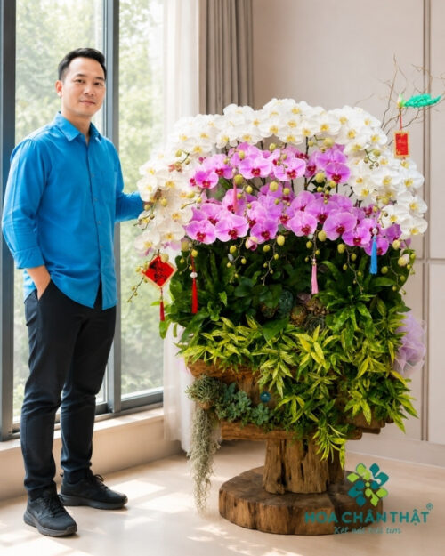 Máng Lan Hồ Điệp Ghép Lũa 20 Cành – Màu Trắng Tím Môn An Nhiên