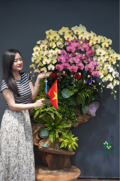 Máng Lan Hồ Điệp Ghép Lũa 20 Cành – Màu Vàng Đỏ Dâu Phú Quý