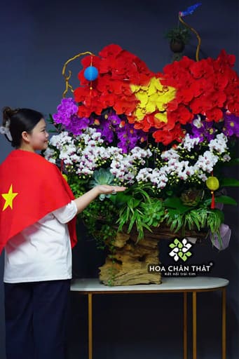 Máng Lan Hồ Điệp Ghép Lũa 25 Cành – 18 Mini Mix 7 Lan Lớn Đa Sắc