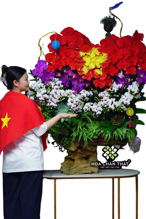 Máng Lan Hồ Điệp Ghép Lũa 25 Cành – 18 Mini Mix 7 Lan Lớn Đa Sắc Máng Lan Hồ Điệp Ghép Lũa 25 Cành – 18 Mini Mix 7 Lan Lớn Đa Sắc