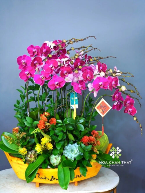 Thuyền Lan Hồ Điệp 15 Cành – Màu Tím Sọc Ngọc Huyền