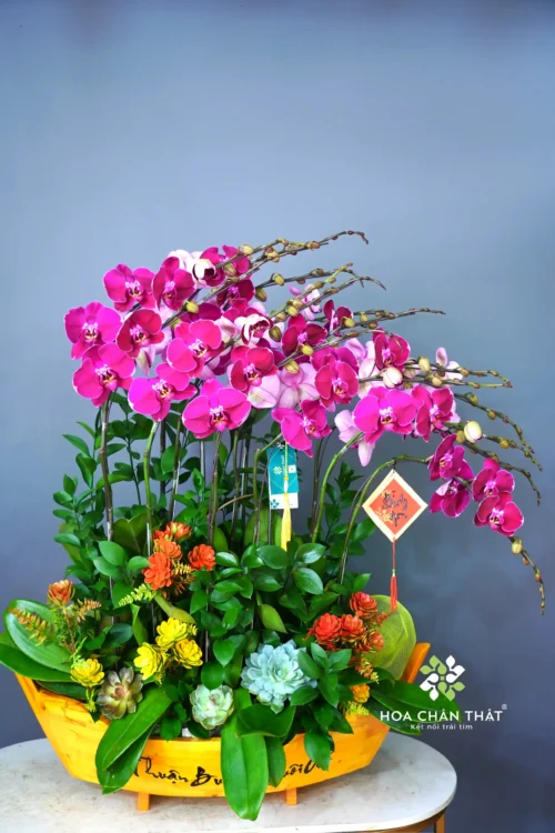 Thuyền Lan Hồ Điệp 15 Cành – Tím Sọc Ngọc Huyền