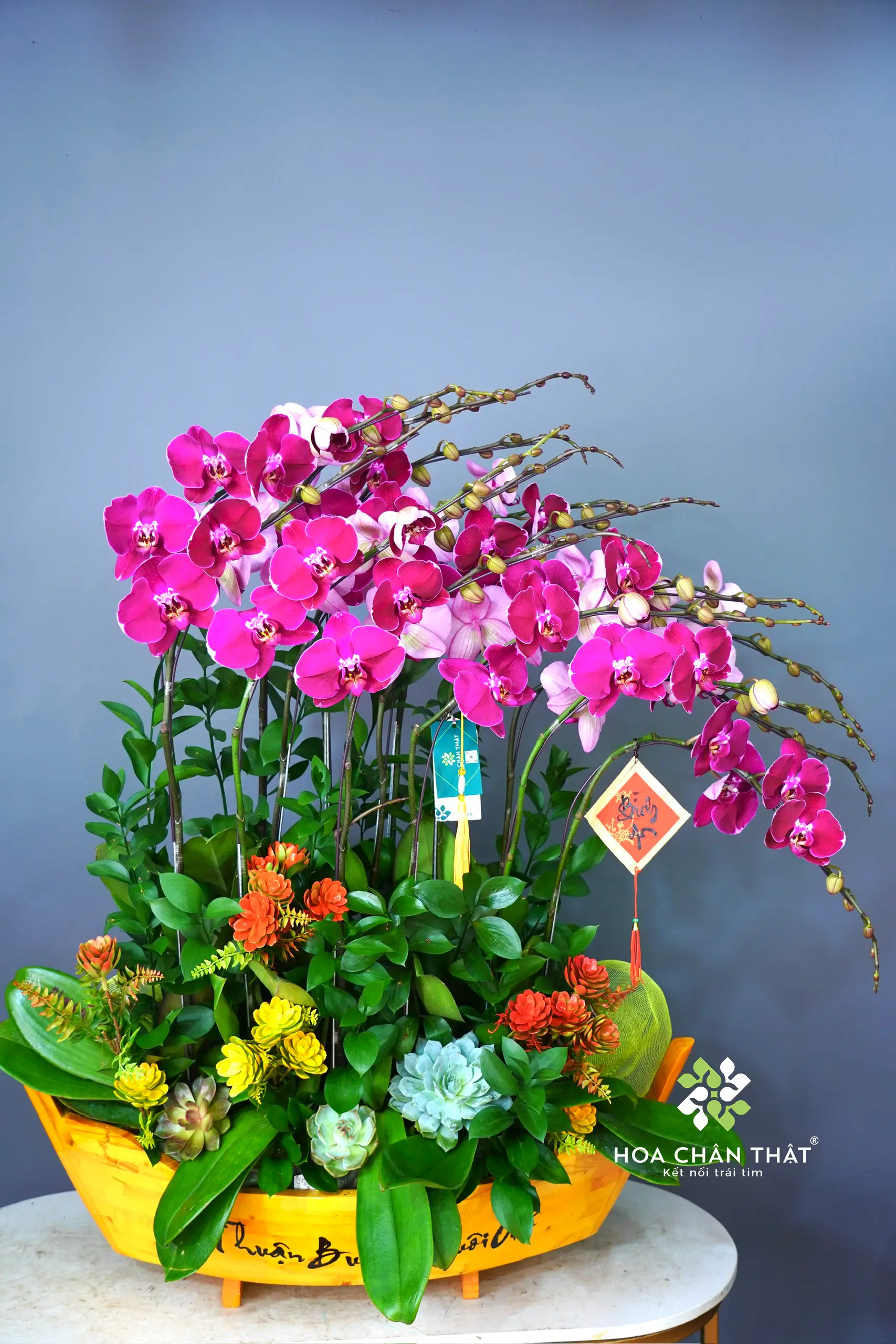 Thuyền Lan Hồ Điệp 15 Cành – Tím Sọc Ngọc Huyền Thuyen Lan Ho Diep 15 Canh – Tim Soc Ngoc Huyen