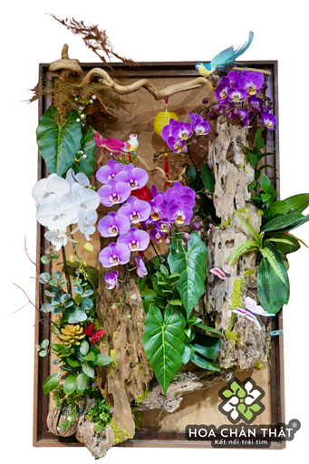 Tranh Lan Hồ Điệp 6 Cành – Hồng Tím Vàng Phú Quý