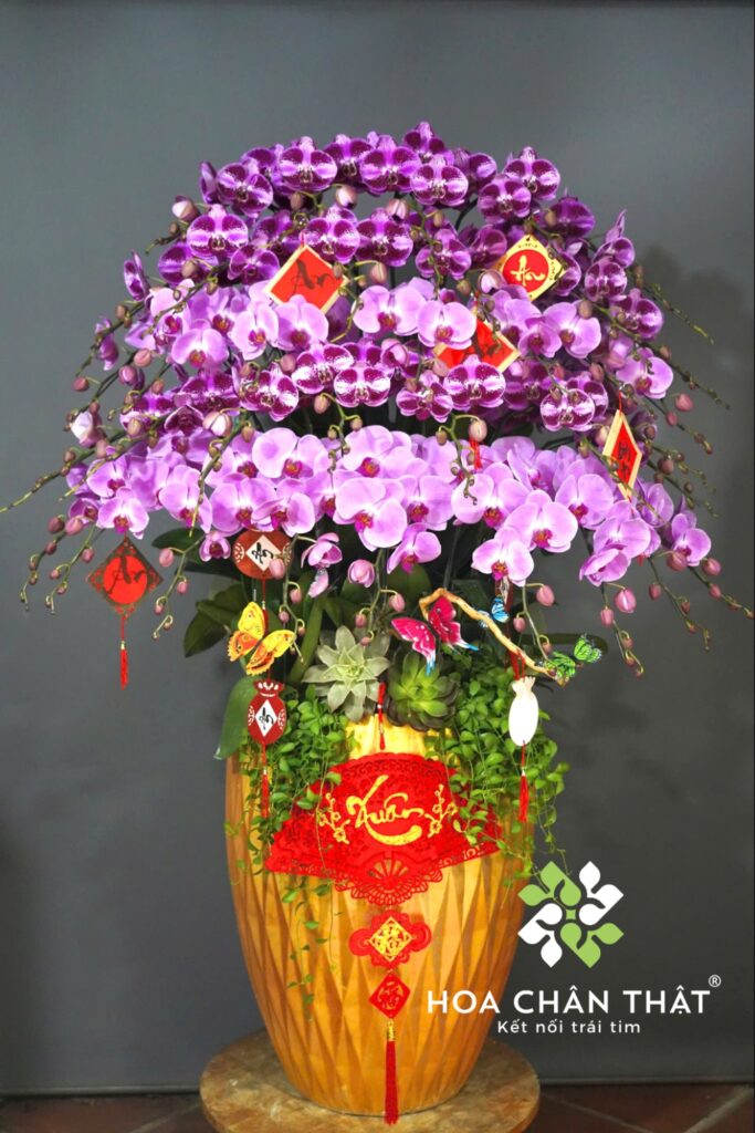Hoa Lan Hồ Điệp - Ý Nghĩa Phong Thủy Trong Dịp Tết 2026 image5
