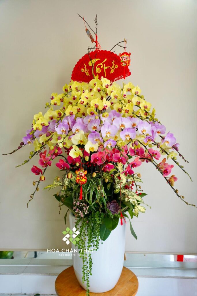 Hoa Lan Hồ Điệp - Ý Nghĩa Phong Thủy Trong Dịp Tết 2026 image8