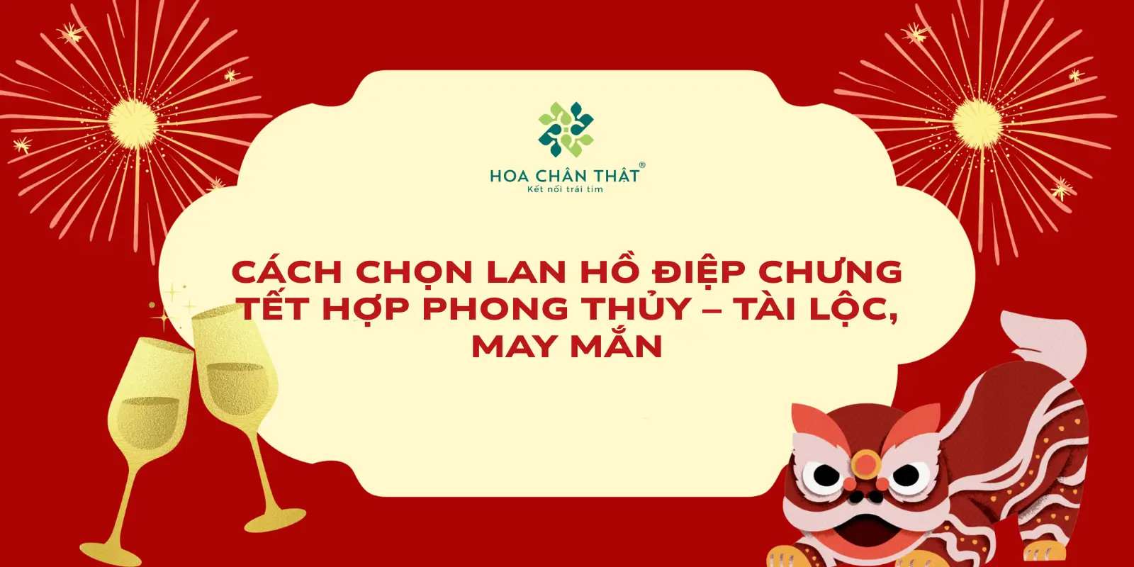 Cách Chọn Lan Hồ Điệp Chưng Tết Hợp Phong Thủy – Tài Lộc, May Mắn