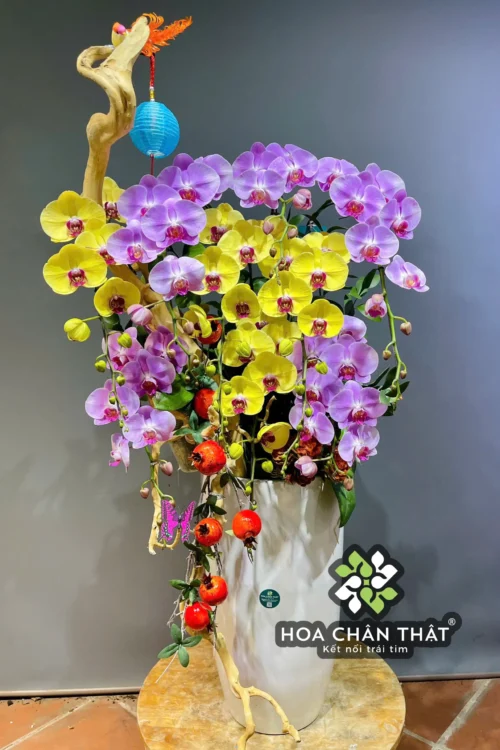 Chau Lan Ho Diep 10 Canh – Vang Tim Ghep Lua Chau Cao Phu Quy 1