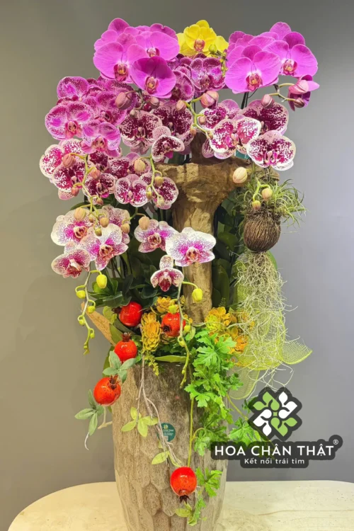 Chau Lan Ho Diep 11 Canh – Tim Hong Ghep Lua Chau Cao Sang Trong 1