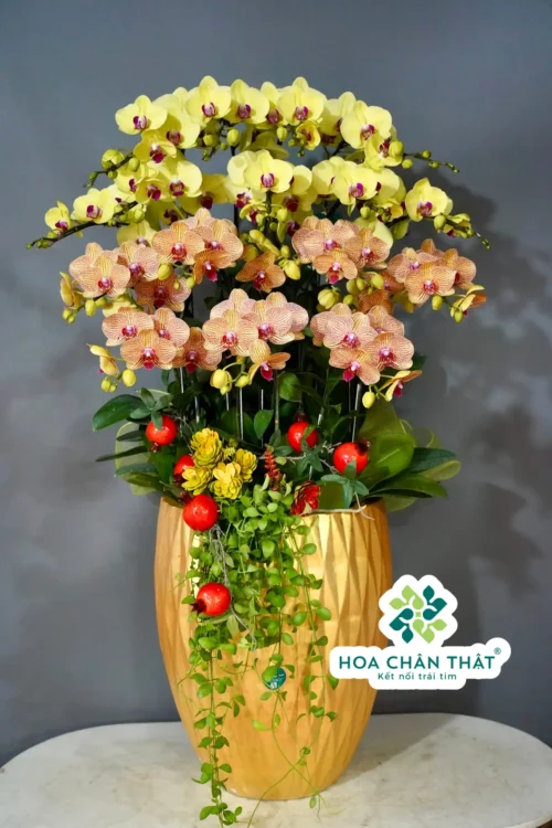 Chau Lan Ho Diep 16 Canh Vang Cam – Khoi Sac Hong Phat 2