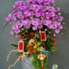 Chậu Lan Hồ Điệp 20 Cành – Hồng Anna Sang Trọng