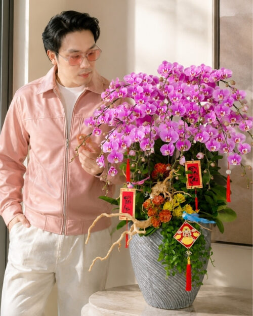 Chậu Lan Hồ Điệp 20 Cành – Hồng Anna Sang Trọng Chậu Lan Hồ Điệp 20 Cành – Hồng Anna Sang Trọng