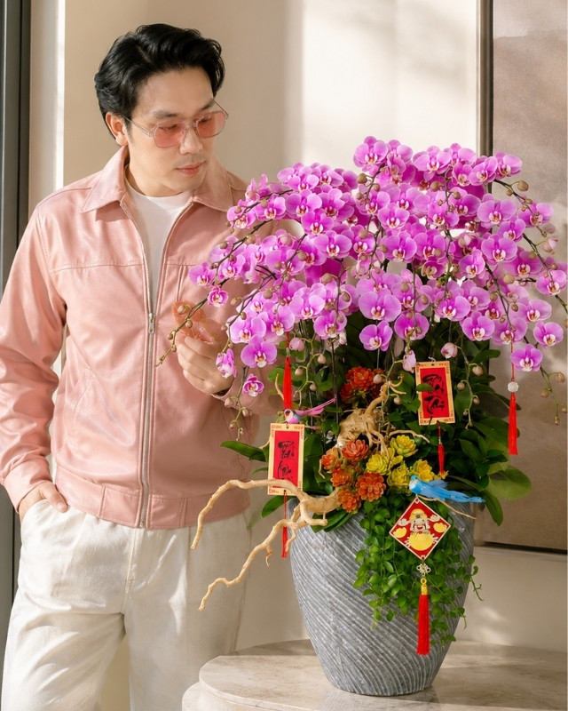 Chậu Lan Hồ Điệp 20 Cành – Hồng Anna Sang Trọng Chậu Lan Hồ Điệp 20 Cành – Hồng Anna Sang Trọng