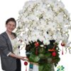 Chậu Lan Hồ Điệp 30 Cành Trắng – Thuần Khiết Viên Mãn