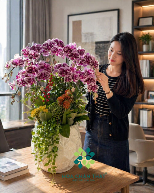 Chậu Lan Hồ Điệp 9 Cành – Màu Tím Sọc Đột Biến Độc Đáo