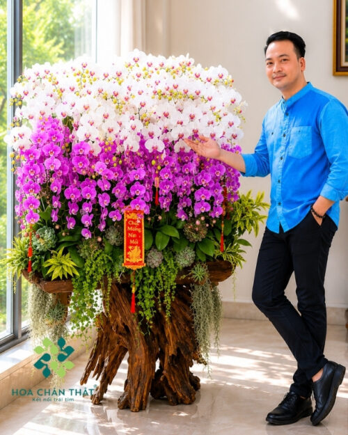 Máng Lũa Lan Hồ Điệp 60 Cành Tím Trắng – Phú Quý Song Hành Máng Lũa Lan Hồ Điệp 60 Cành Tím Trắng – Phú Quý Song Hành