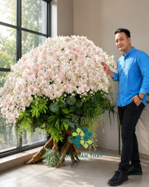 Máng Lũa Lan Hồ Điệp 70 Cành Trắng – Đại Phúc Trường Tồn Mang Lua Lan Ho Diep 70 Canh Trang Dai Phuc Truong Ton 2