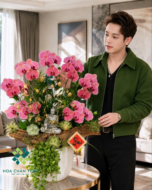 Chậu Lan Hồ Điệp 7 Cành Đỏ Dâu – An Nhiên Phúc Lộc Chậu Lan Hồ Điệp 7 Cành Đỏ Dâu – An Nhiên Phúc Lộc