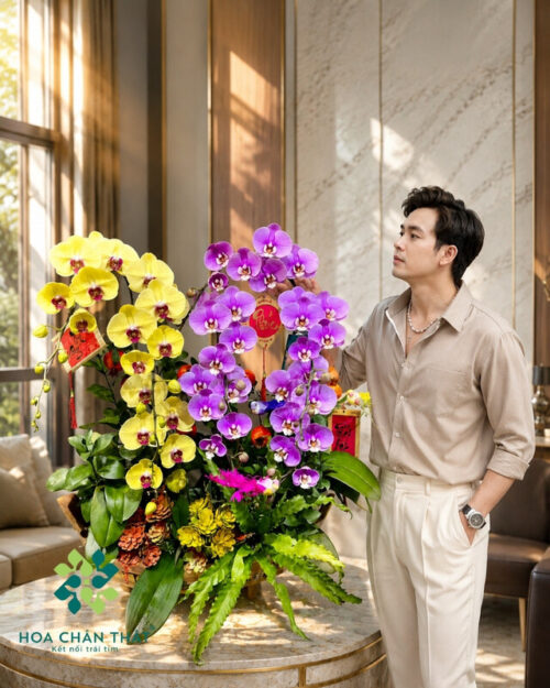 Thuyền Lan Hồ Điệp 8 Cành – Mix Vàng & Hồng Phú Quý