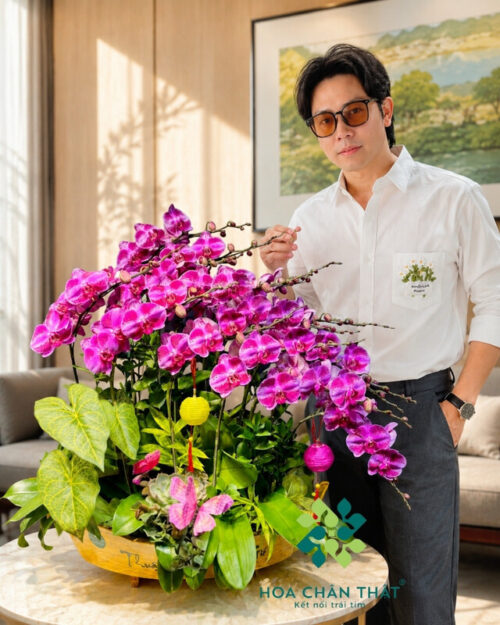 Thuyền Lan Hồ Điệp 15 Cành Tím Đột Biến Vân Trắng – Vương Giả Thịnh Vượng