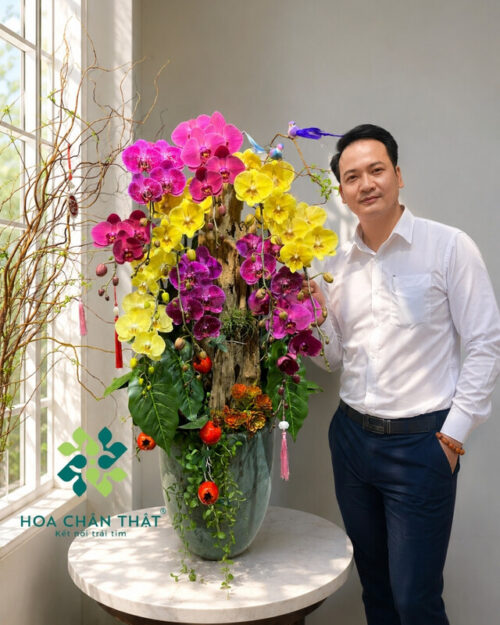 Chậu Lan Hồ Điệp 10 Cành Mix Vàng Hồng Ghép Lũa – Phúc Lộc Giao Hòa