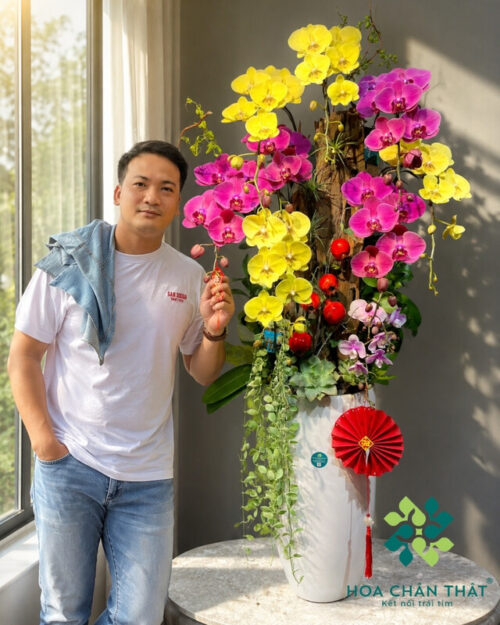 Chậu Lan Hồ Điệp 8 Cành Vàng Đỏ Mận – Vượng Khí Tài Lộc