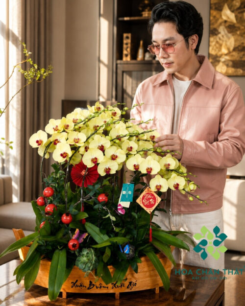 Thuyền Lan Hồ Điệp 15 Cành Màu Vàng – Kim Xuân Phú Quý