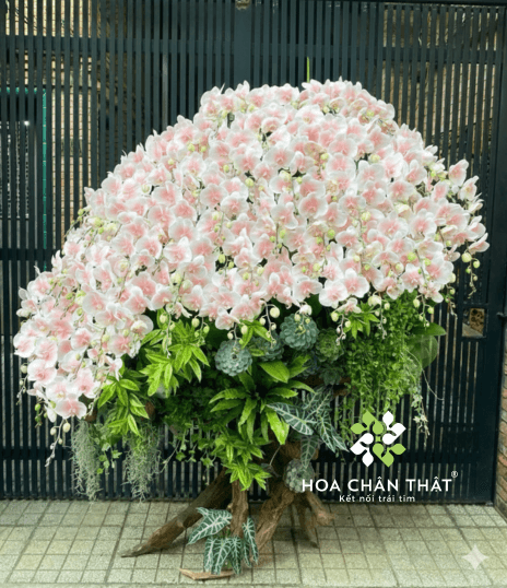 Thiet ke chua co ten 22 1