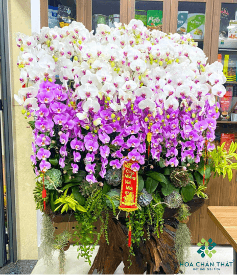 Thiet ke chua co ten 26 1