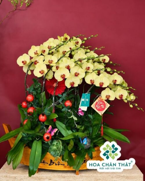 Thuyền Lan Hồ Điệp 15 Cành Màu Vàng – Kim Xuân Phú Quý