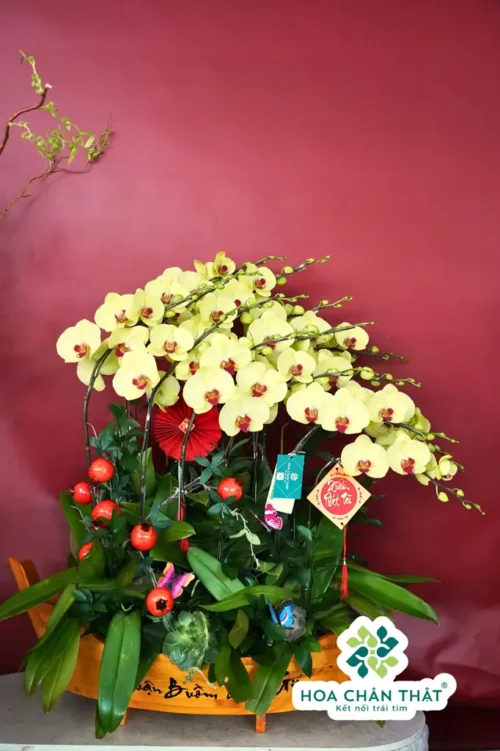 Thuyền Lan Hồ Điệp 15 Cành Màu Vàng – Kim Xuân Phú Quý