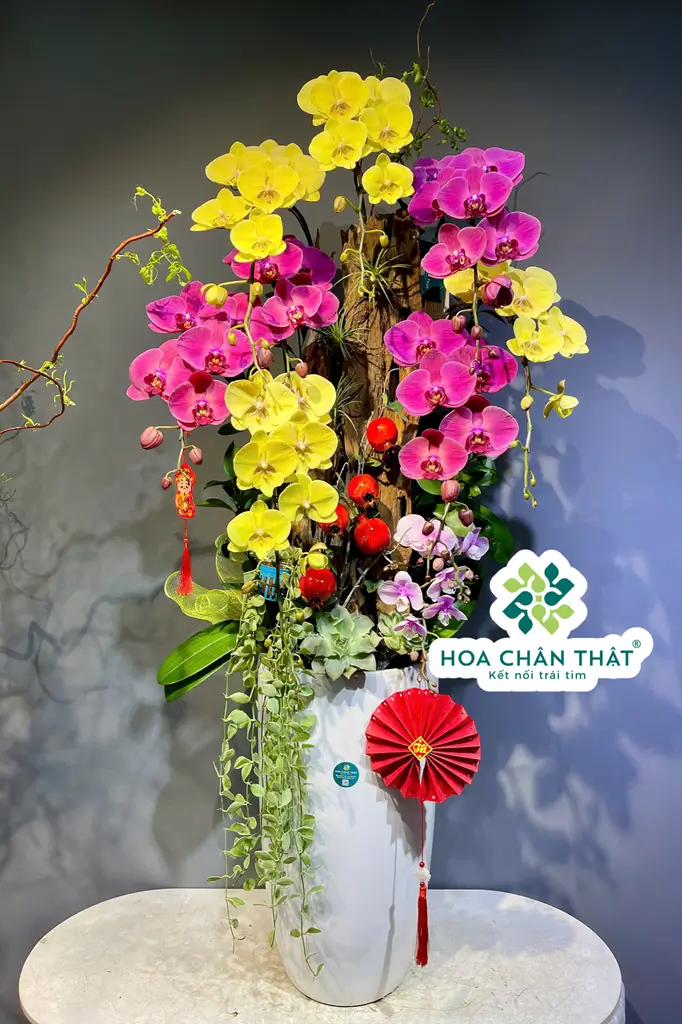 gắn logo (1707 x 2560 px) (41) gan logo 1707 x 2560 px 41