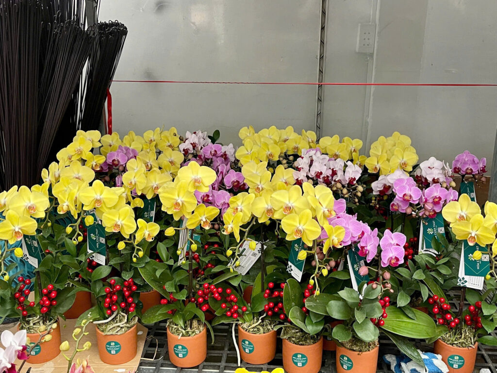 z7474569802544 61952e3fc77ee39bf4bead2afa77998f