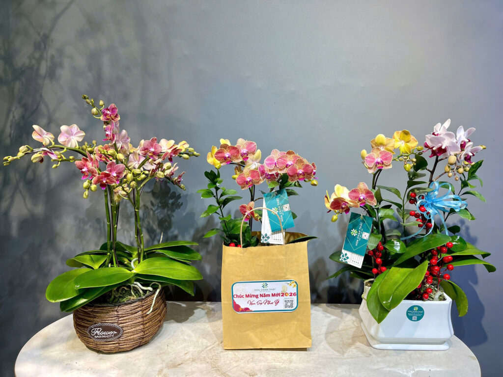 z7474569807517 3333e9f354fd1ed7384e48d3eae09002