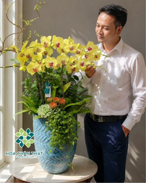Chậu Lan Hồ Điệp 10 Cành Màu Vàng Lưỡi Đỏ – Chậu Xanh Thanh Lịch