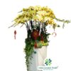 Chậu Lan Hồ Điệp 20 Cành – Chậu Vàng Trắng Cao Sang Trọng