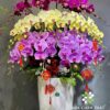 Chậu Lan Hồ Điệp 20 Cành Mix 3 Tầng Tím Hồng Vàng – Sắc Màu Thịnh Vượng