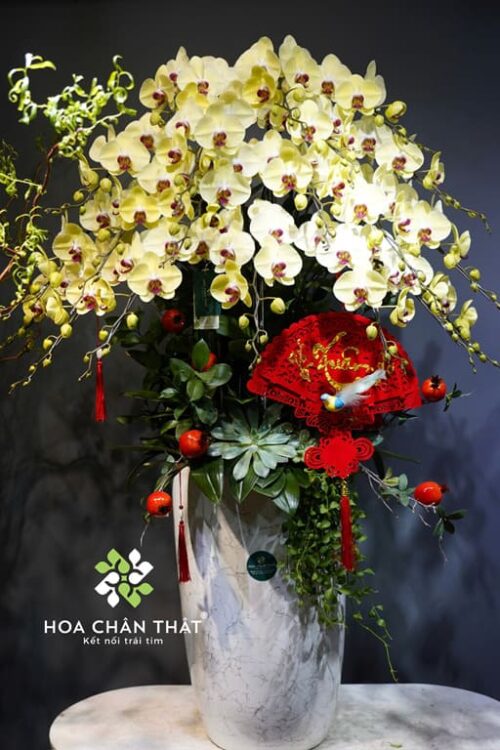 Chậu Lan Hồ Điệp 20 Cành Vàng – Hoàng Kim Thịnh Vượng