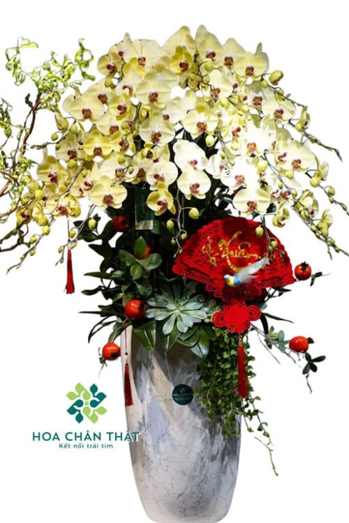 Chậu Lan Hồ Điệp 20 Cành Vàng – Hoàng Kim Thịnh Vượng