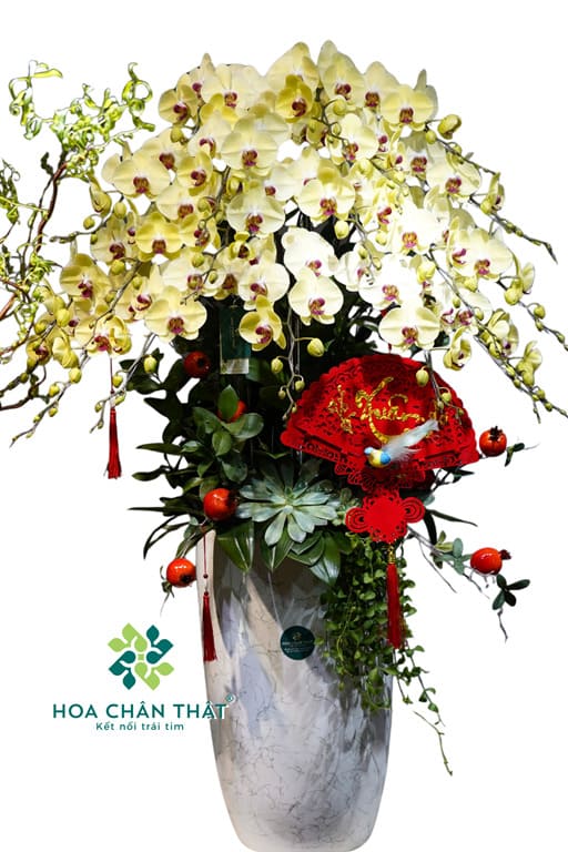 Chậu Lan Hồ Điệp 20 Cành Vàng – Hoàng Kim Thịnh Vượng Chậu Lan Hồ Điệp 20 Cành Vàng – Hoàng Kim Thịnh Vượng