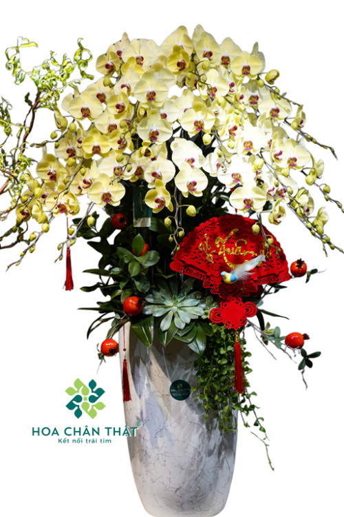 Chậu Lan Hồ Điệp 20 Cành Vàng – Hoàng Kim Thịnh Vượng
