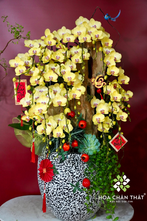 Chau Lan Ho Diep 26 Canh Vang Ghep Lua – Kim Phu Quy Sang Trong 1