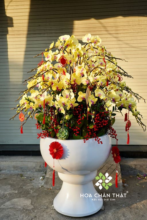 Chậu Lan Hồ Điệp 60 Cành Màu Vàng – Hoàng Kim Đại Phát Chậu Lan Hồ Điệp 60 Cành Vàng – Hoàng Kim Đại Phát
